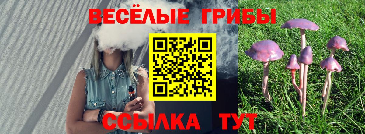 Уварово  Псилоцибиновые грибы Psilocybine cubensis  Псилоцибиновые грибы мицелий  Вход с VPN 